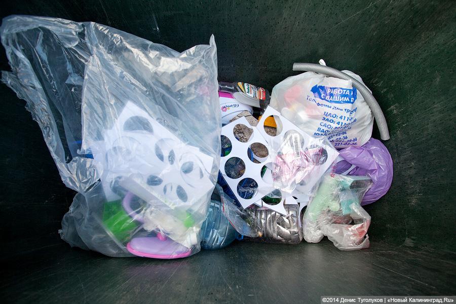 Квадратные «кубики»: как малыши из клуба «Развивалка» учились игрушки утилизировать