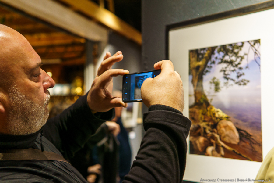 «О чем молчат деревья»: в Воротах открылась выставка, воспевающая придорожные аллеи (фото)