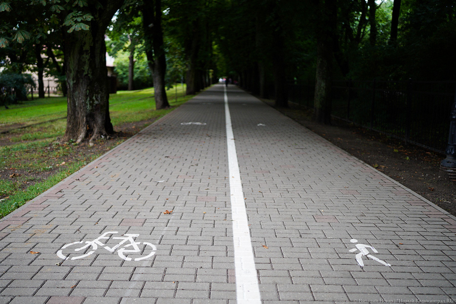 В мэрии Калининграда пока не решили, как создать обещанный единый велокаркас