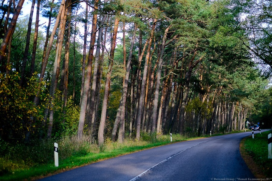 Где будут работать передвижные фоторадары на этой неделе
