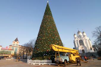 На площади Победы начался монтаж главной новогодней елки