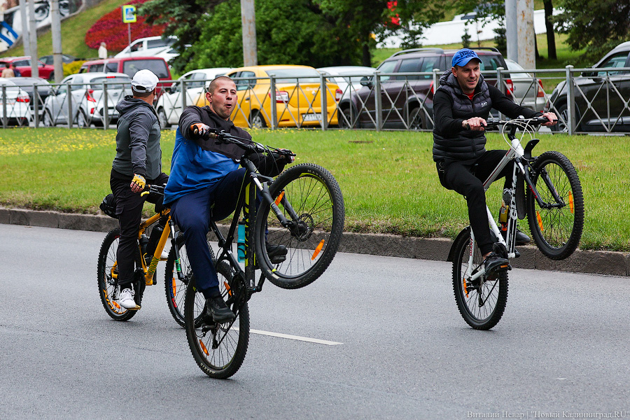 Лыжи, велики, унициклы: как прошёл велопарад в Калининграде (фото)