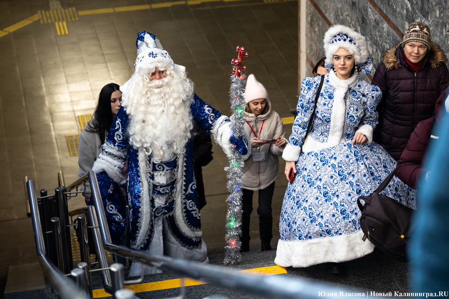 Дед Мороз на «Ласточке»: в Калининграде запустили «новогодний экспресс» до Зеленоградска (фото)