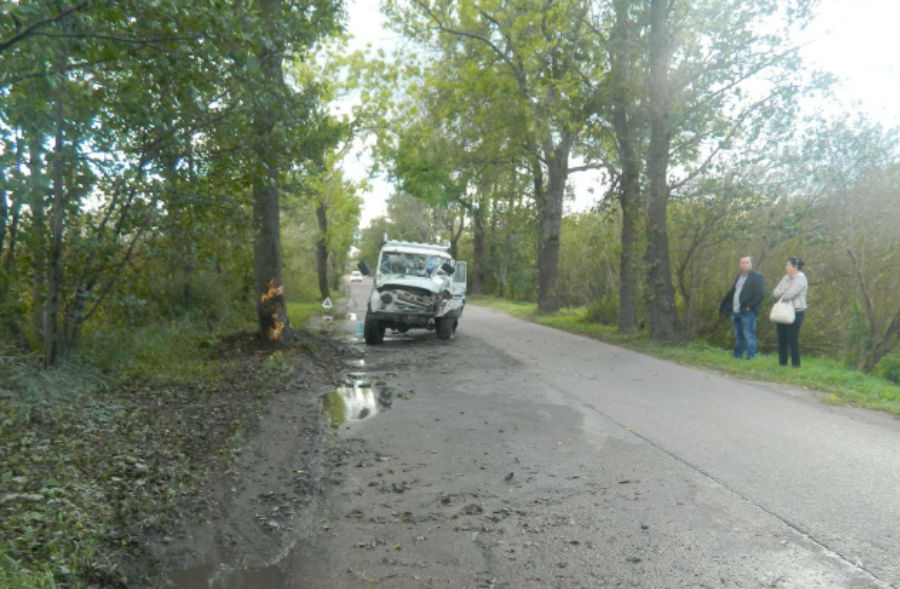 В Прегольском «УАЗ» врезался в дерево, а потом в «Форд» (фото)