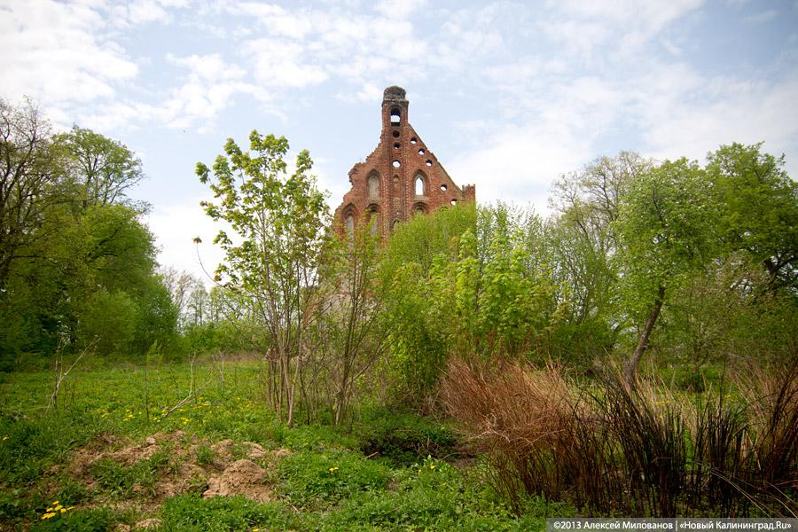 «А денег нет»: в переданной РПЦ кирхе 14-го века в Храброво валяются человеческие кости