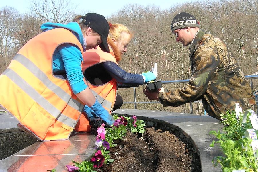 Фото предоставлено Центральный парком культуры и отдыха в Калининграде