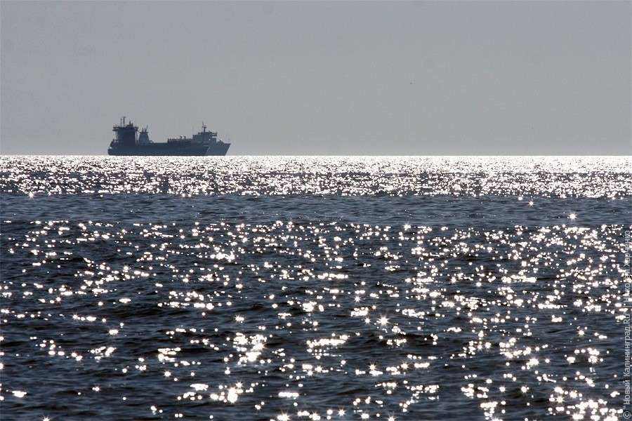 В Балтийском море ищут гражданина Германии, упавшего за борт яхты