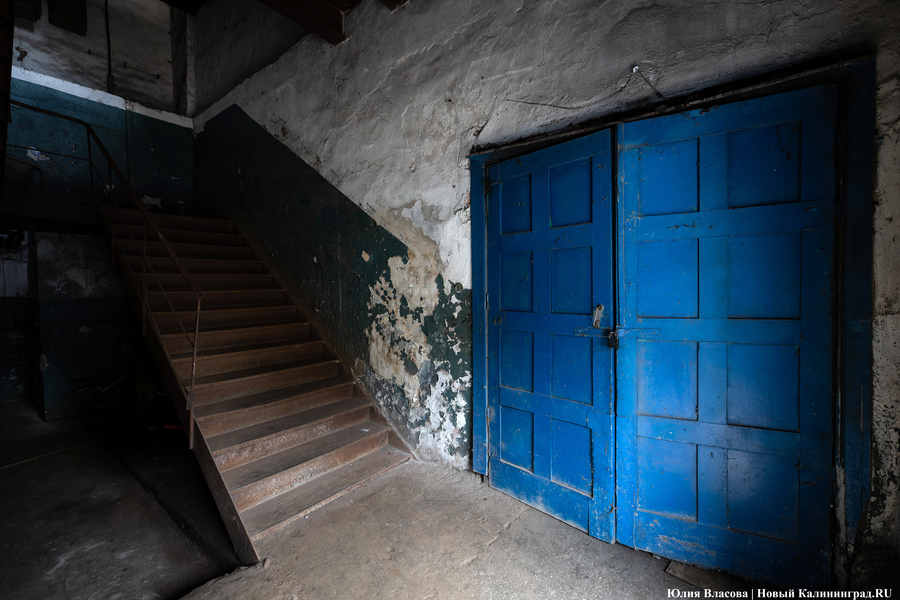Оживший замок: как в Полесске прошёл фестиваль «Хранителей руин» (фото) (видео)