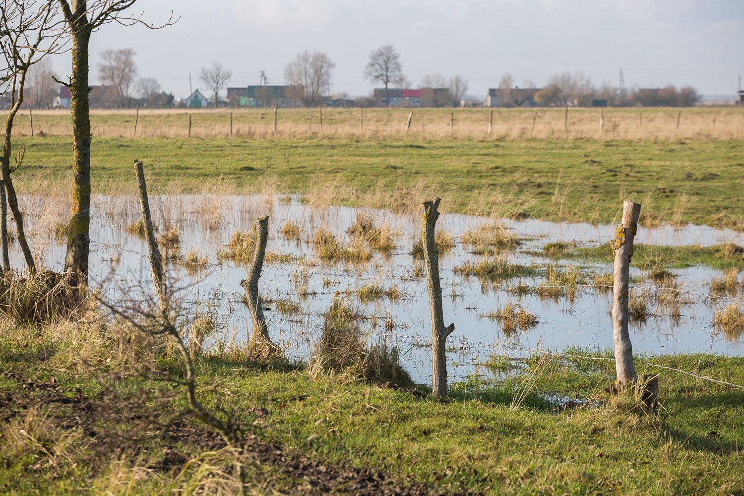 Калининградский губернатор оценил сочность неманских лугов