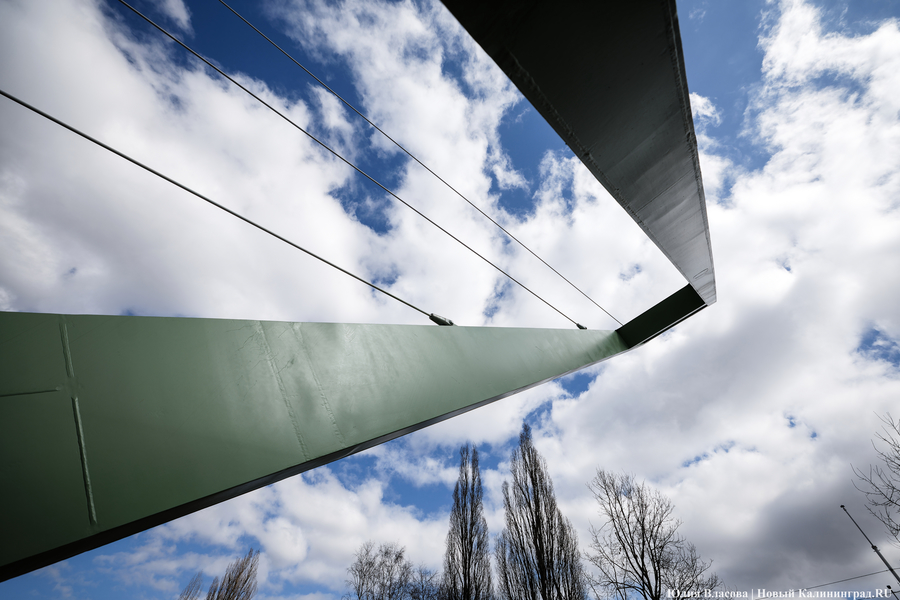 От музея до острова: как в Калининграде открывали Философский мост (фото)