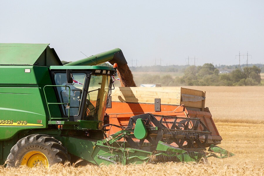 В Гусеве комбайнера подозревают в попытке кражи более семи тонн пшеницы