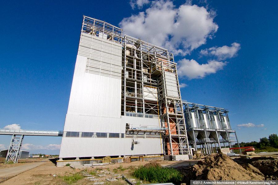 «Я все пью, а мне все хуже»: как Краснознаменск встретил Николая Цуканова