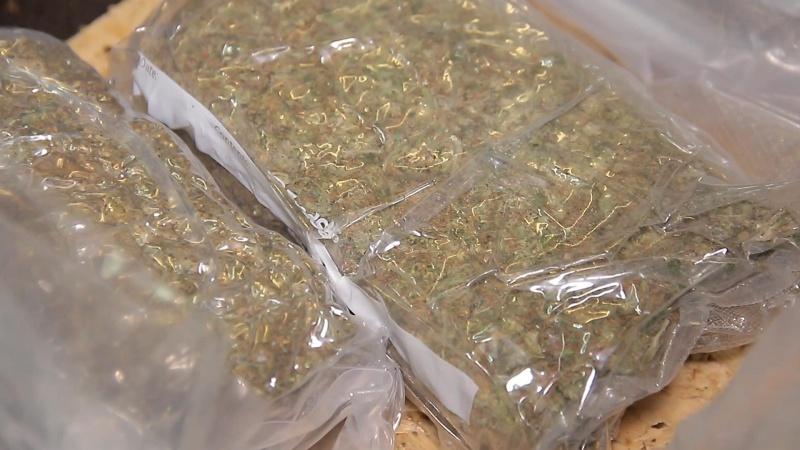 Калининградская полиция обнаружила в гараже более 15 килограммов наркотиков (фото)