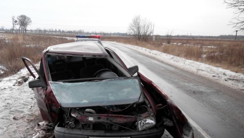 В Полесском районе в ДТП пострадал водитель «Опеля», врезавшегося в дерево (фото)