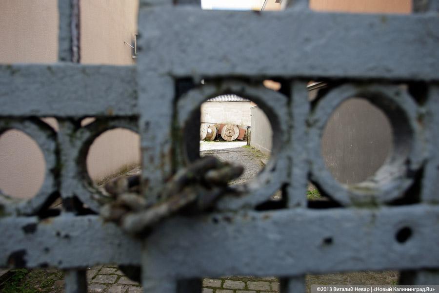 Лось, королева Луиза и старый трамвай: чем может привлечь туристов Советский Тильзит