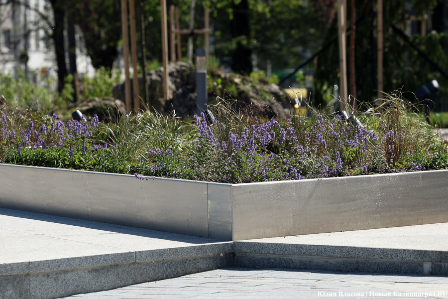 На площади у Дома искусств завершается благоустройство. Вот как она выглядит (фото)