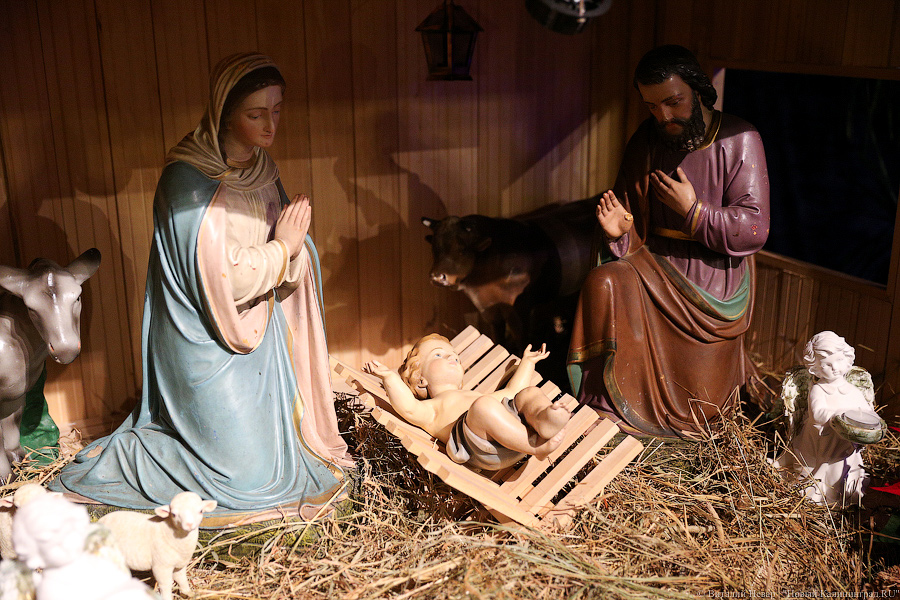 «Chrismukkah»: католический Сочельник в Калининграде (фото)