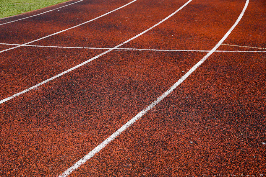 Власти Калининграда резервируют землю в районе Макс-Ашманн-парка под спорткомплекс