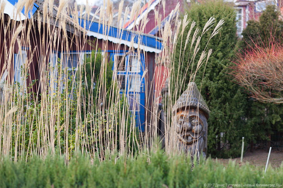 Рыба большая и маленькая: как прошёл День корюшки в Ниде