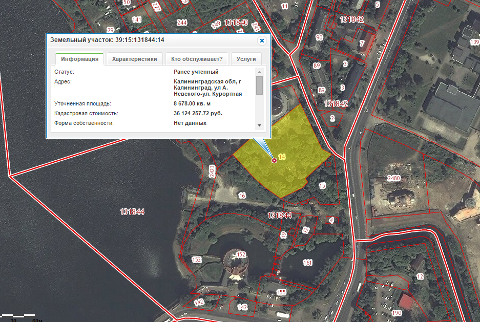 Расположение участка на публичной кадастровой карте