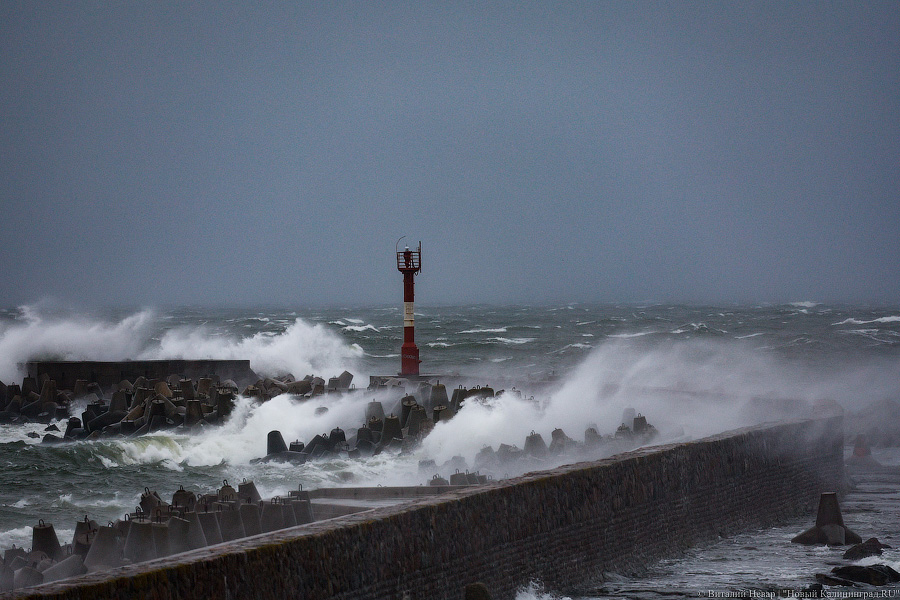 Что нам ветер: фоторепортаж из штормового Балтийска (фото)