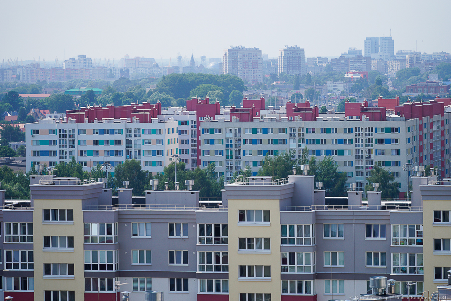 Фото: Виталий Невар / Новый Калининград