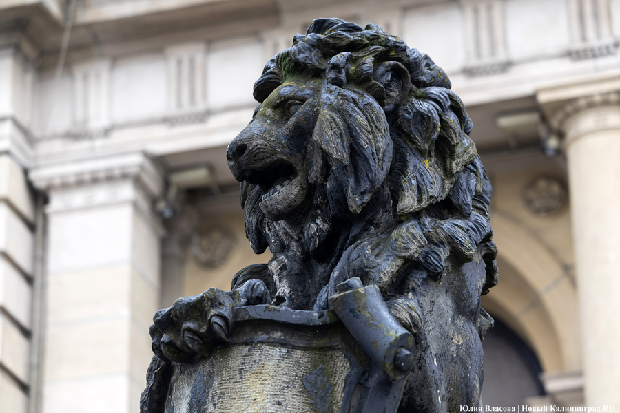 Историческое наследие, лазер и чёрные львы: о чём говорили на конференции реставраторов