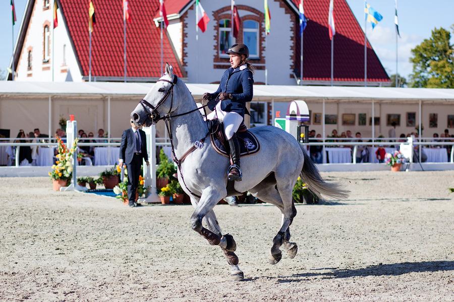 «Кубок президента РФ для немцев»: фоторепортаж с турнира по конкуру в Георгенбурге