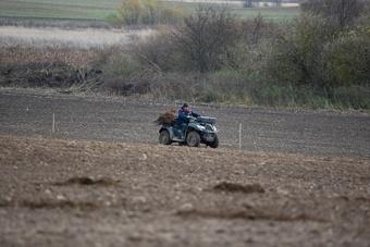 Белорусы готовы заменить собой рабочих из Азии, если власти региона не будут против
