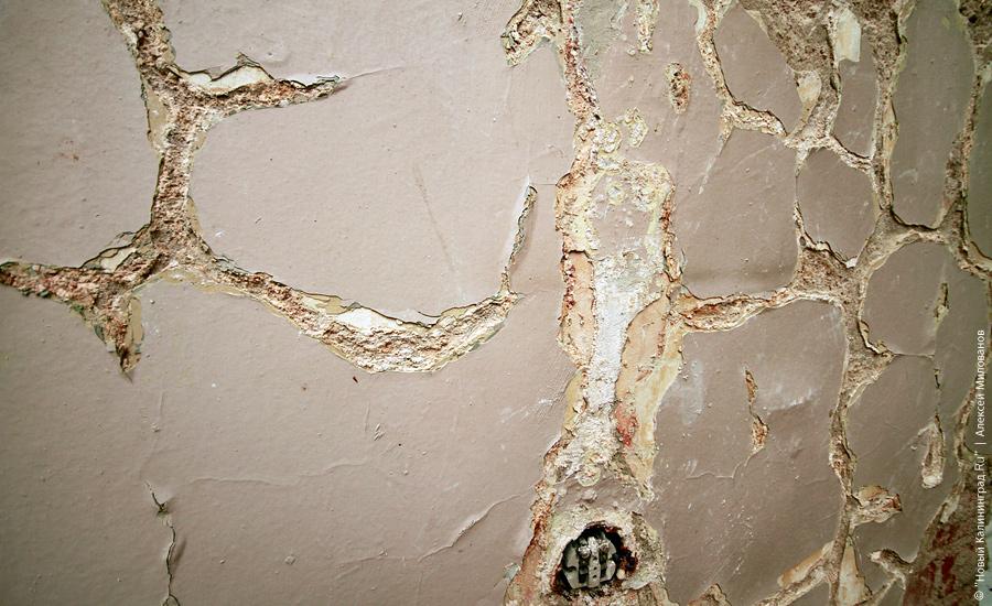 "Неизменная космическая чистота": фоторепортаж "Нового Калининграда.Ru"