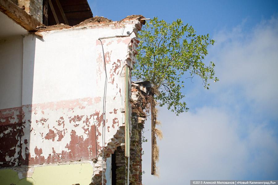 Остатки роскоши прусского барокко: усадьба в Рощино в проекте «Пустые дома»