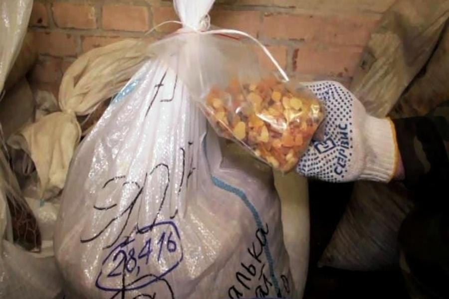 В Балтийске в немецком форту полиция нашла тайник с янтарём на 87 миллионов евро (фото)