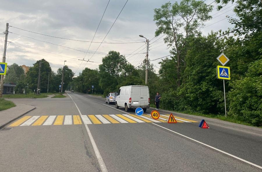 На Емельянова микроавтобус сбил пенсионерку