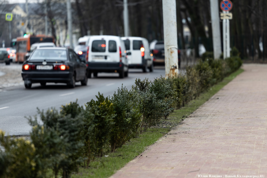 В трех соснах: как выглядит благоустроенная территория у стадиона «Балтика» (фото)
