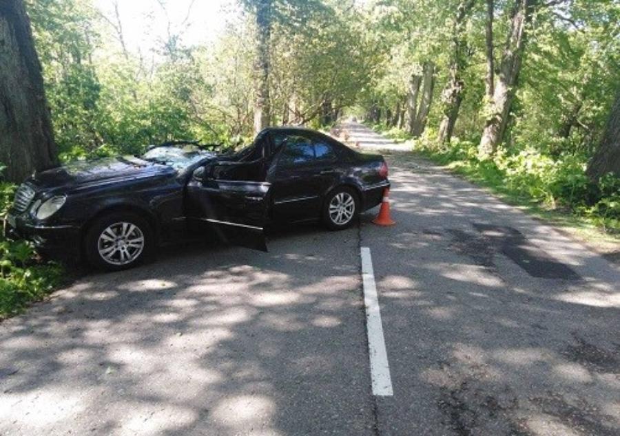 В Зеленоградском районе на ехавшую машину упало дерево (фото)