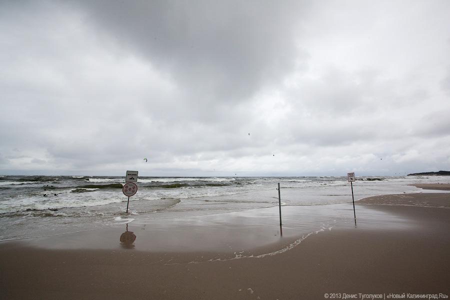 Резиденция без королей: где поесть в Пионерском