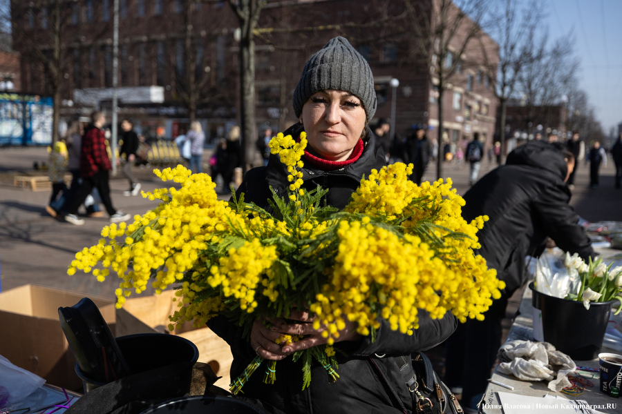 Мимозно-тюльпанный ажиотаж: Калининград накрыла традиционная цветочная лихорадка (фото)