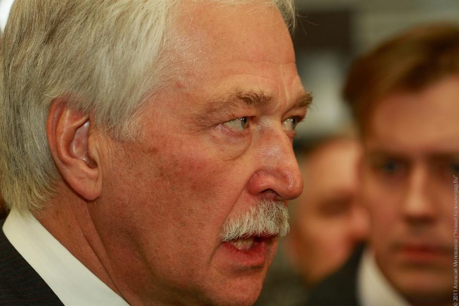 "Лось Маша и прочая законная агитация": фоторепортаж "Нового Калининграда.Ru"