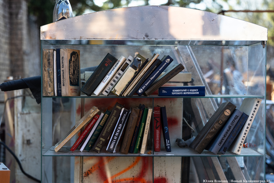 «Начало новой жизни»: в Астрономическом бастионе прошёл субботник (фото)