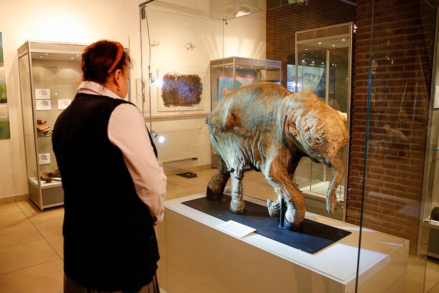 Фото — Виталий Невар, «Новый Калининград»