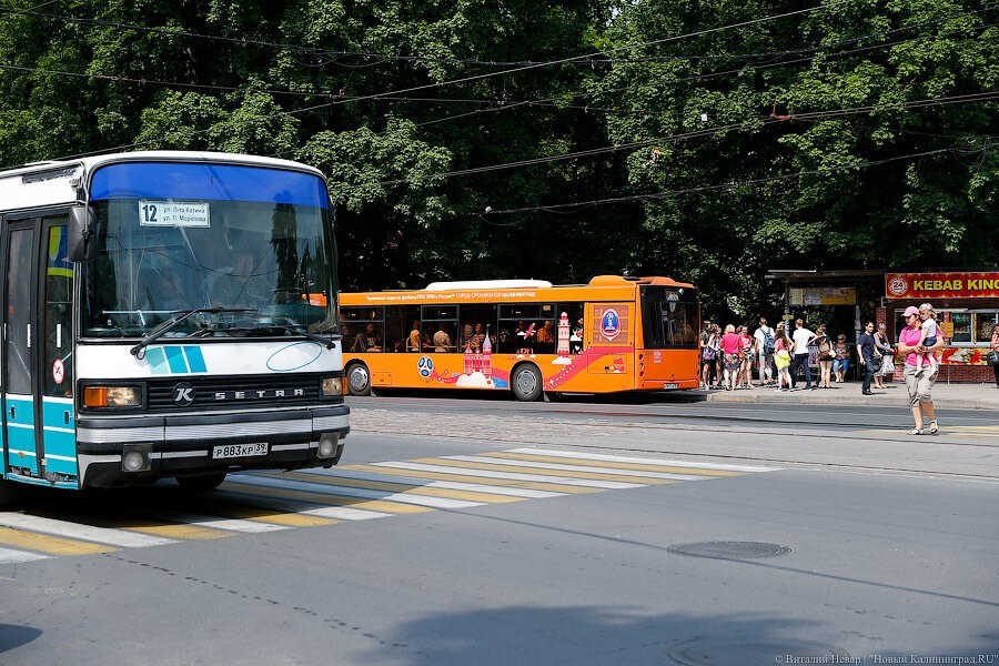 В Калининграде резко сокращают количество общественного транспорта