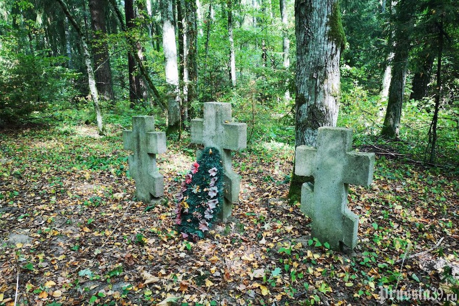Эксперт: погибший в Восточной Пруссии правнук Пушкина не был похоронен в Гердауэне