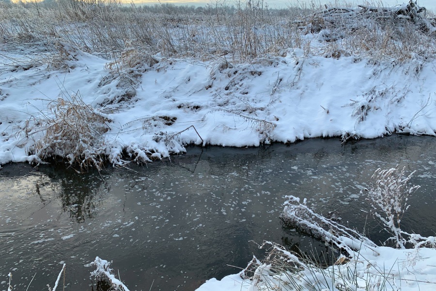 «Балтптицепром» оштрафовали за сброс плохо очищенных стоков в реку