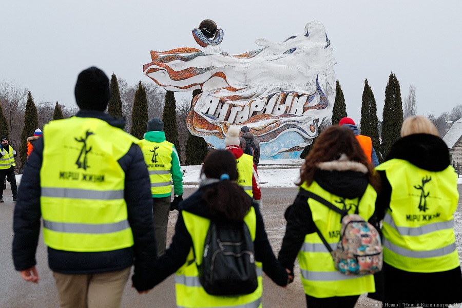 Марш жизни: акция памяти жертв холокоста в фоторепортаже «Нового Калининграда»