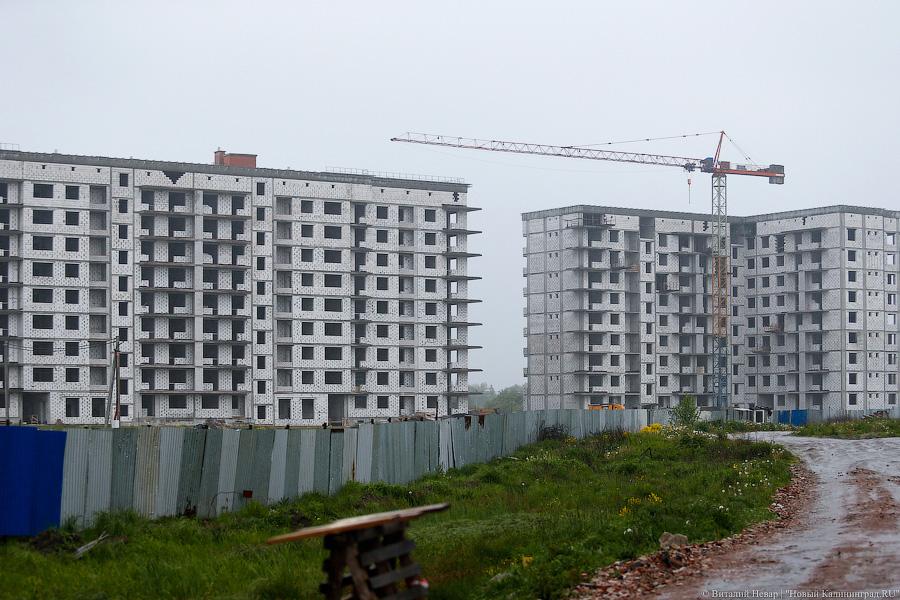 Фото — Виталий Невар, «Новый Калининград.Ru»