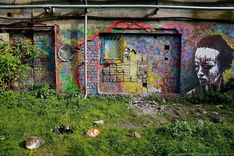 Блеск и нищета: что происходит с набережной Нижнего озера в Калининграде