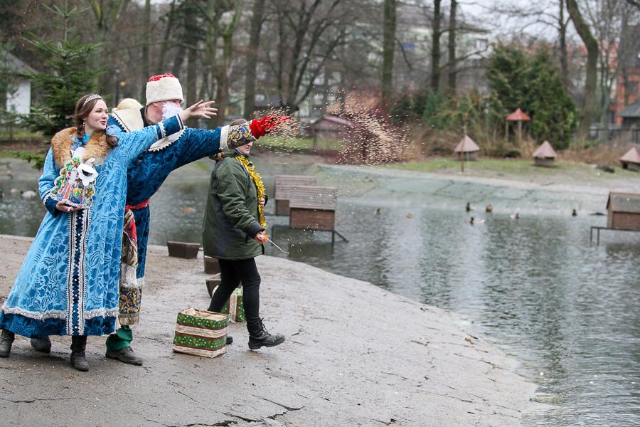 Конина к году Лошади: зоопарк раздал животным любимые лакомства