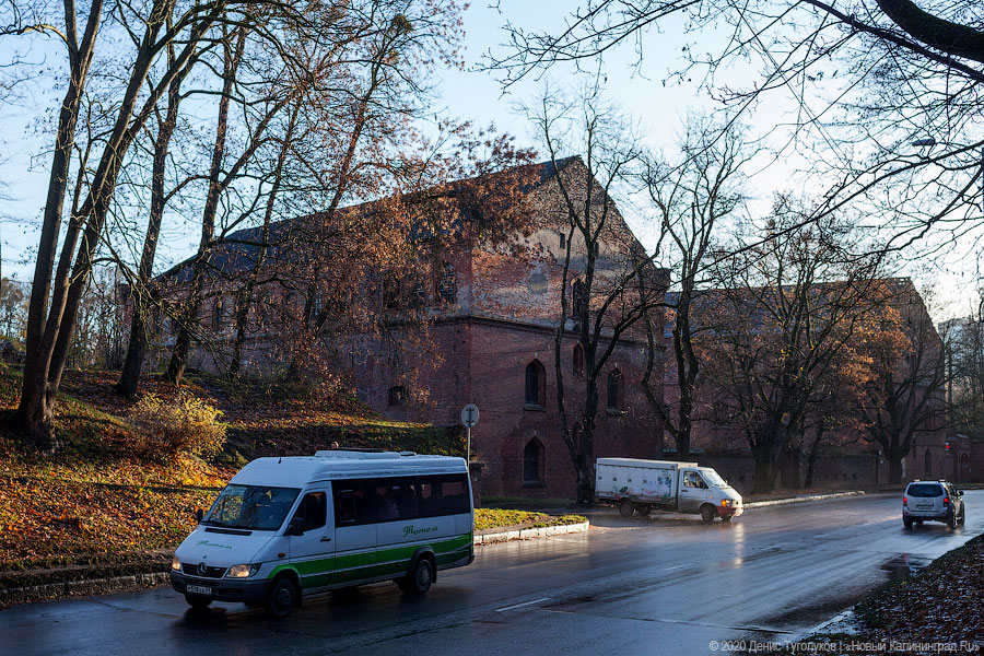 Фото: Денис Туголуков / Новый Калининград