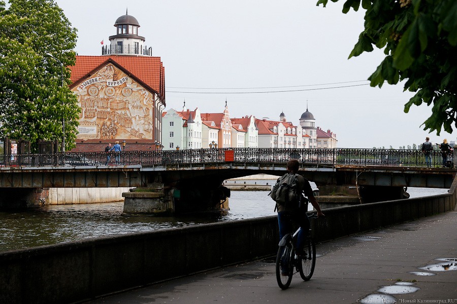 Фото — Виталий Невар, «Новый Калининград.Ru»