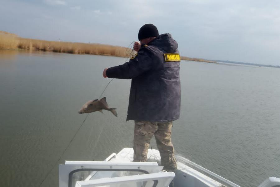 В Куршском и Калининградском заливах обнаружили 22 брошенные сети